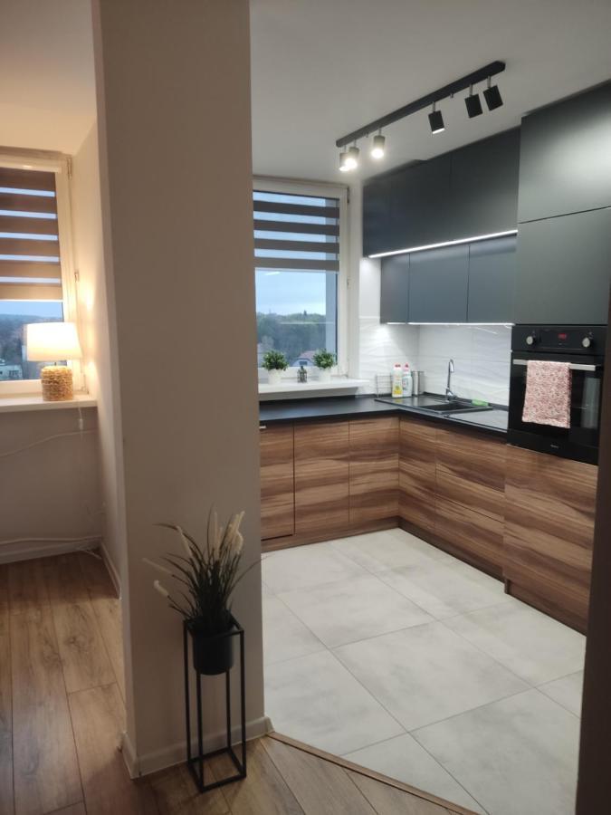 Apartament Z Widokiem Na Miasto Ґлівіце Екстер'єр фото