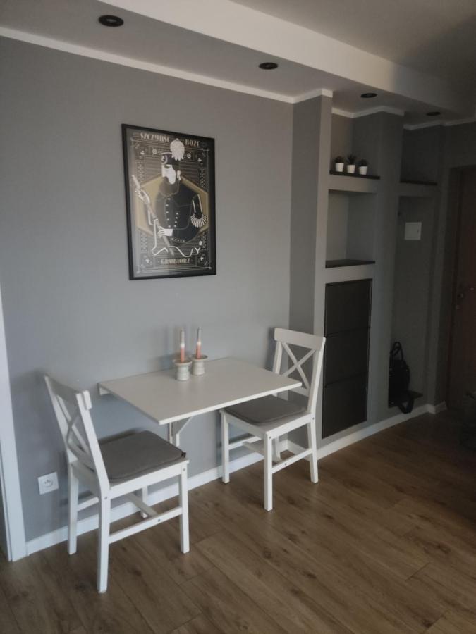 Apartament Z Widokiem Na Miasto Ґлівіце Екстер'єр фото