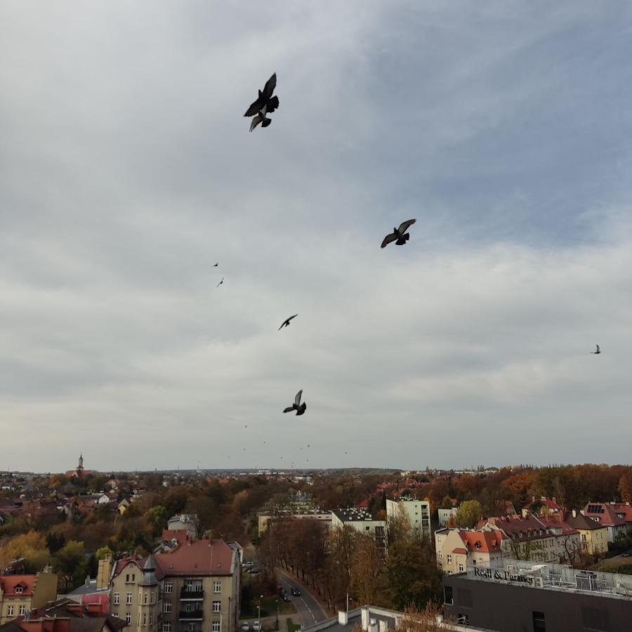Apartament Z Widokiem Na Miasto Ґлівіце Екстер'єр фото