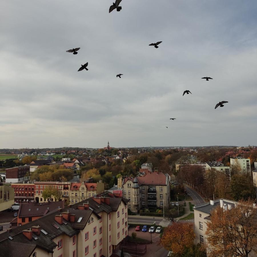 Apartament Z Widokiem Na Miasto Ґлівіце Екстер'єр фото